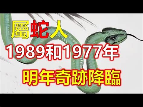 1989 屬蛇|【1989 屬相】驚！1989年生屬相大起底：蛇子蛇女命運揭秘